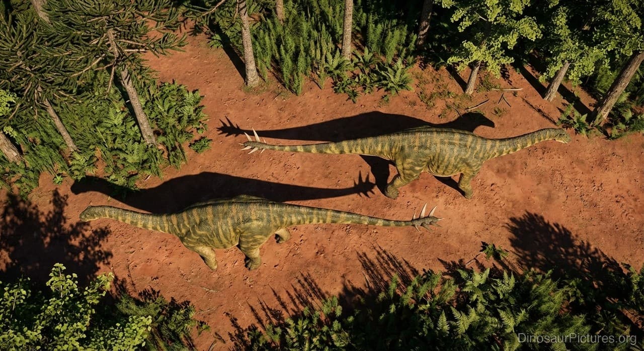 Shunosaurus